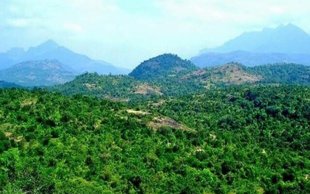 Kanthalloor Wild Stay