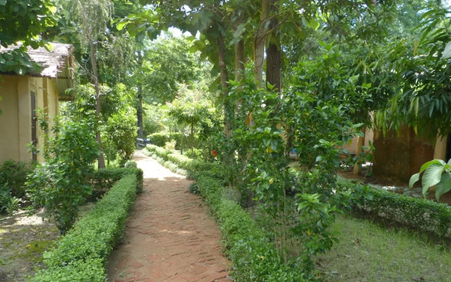 Nature Safari Resort