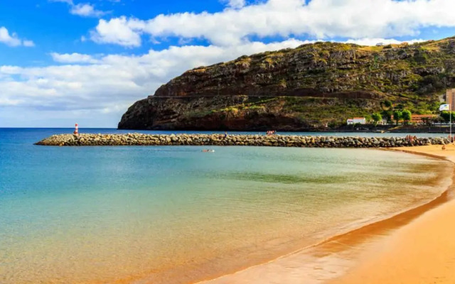 VIP Paradise Apartment