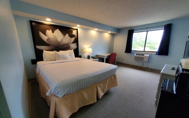 Coastal Inn & Suites - Wilmington, NC