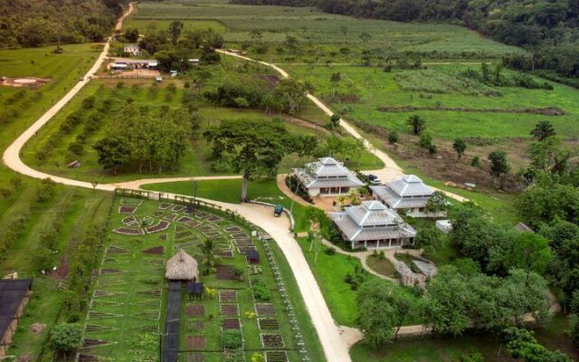 Copal Tree Lodge, a Muy’Ono Resort