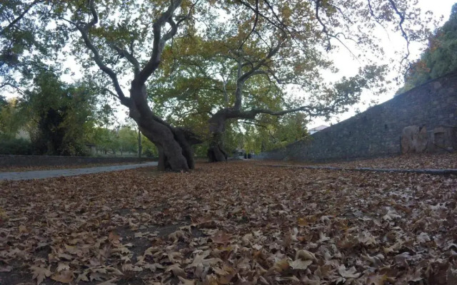 Stephania's Stone House