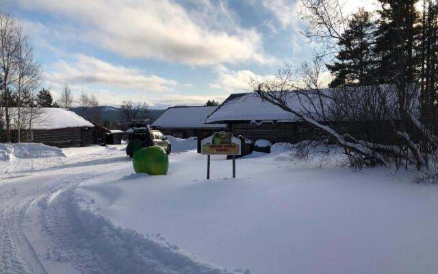 Beautiful 4-5 Persons Cottage in Alvdalen