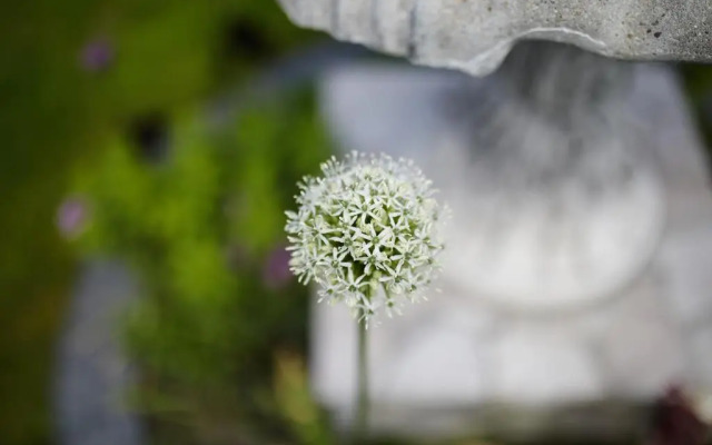 Willa Morska w Chłapowie