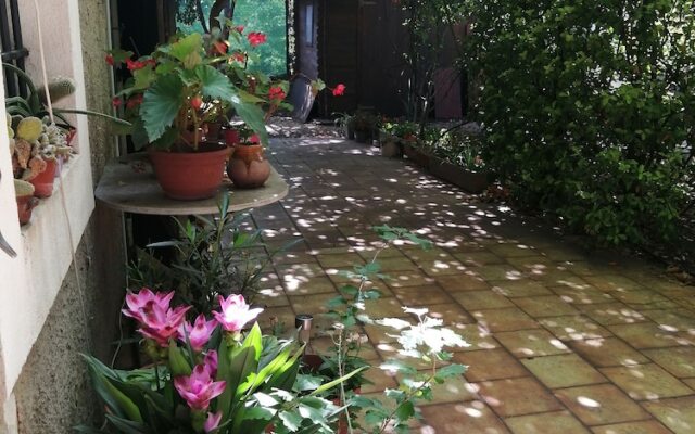 Beau Mas à Montolivet