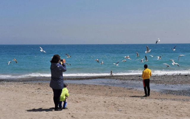 Gyeongju Ocean Tour Pension