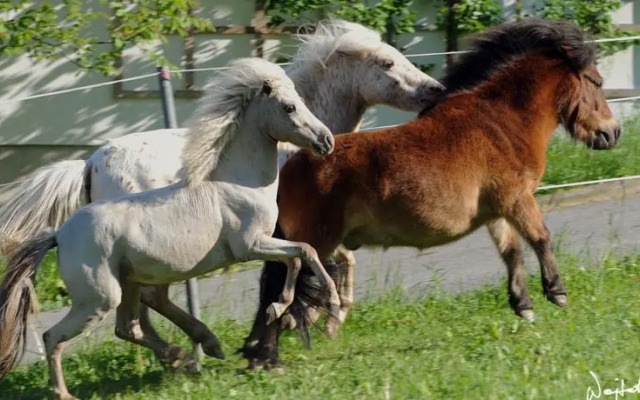 Pension Margretenhof