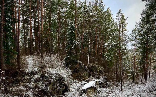 Путь Шамана