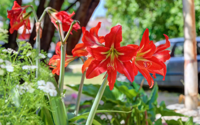 NEW 2022 Rooms Marchese Vodnjan