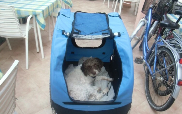 Apartmani Romano