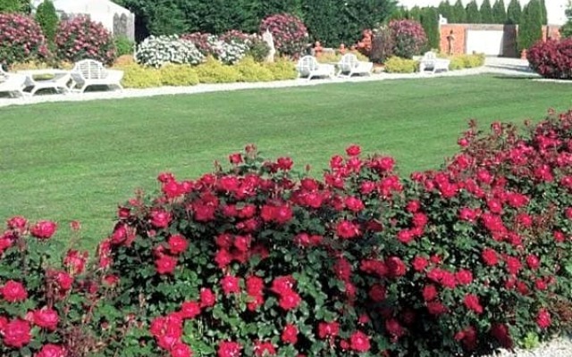 dover garden suites