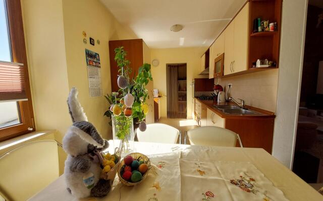 Apartment Niki in Tribalj