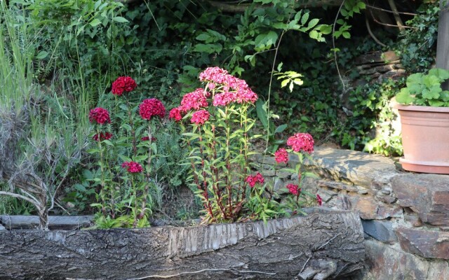 Reposo goce y alimento para los sentidos