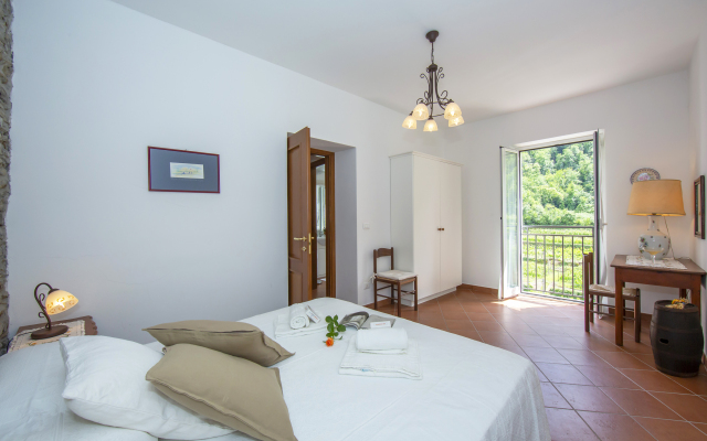 Geraneo among vineyard