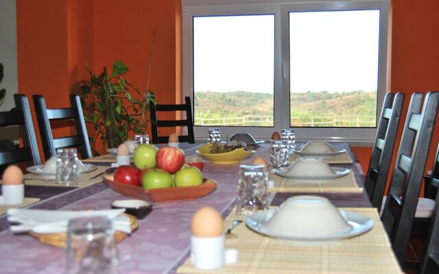 Buddha Peaceful Oasis