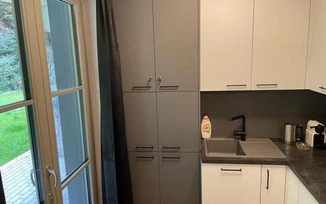 Luxury apartment Trio Harrachov A.2