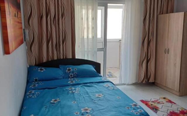 Apartament la dudu