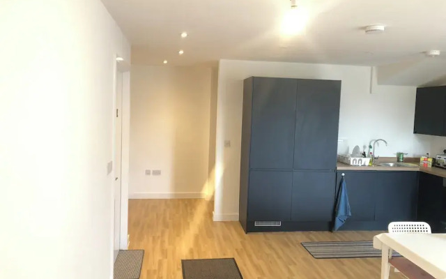 Modern House