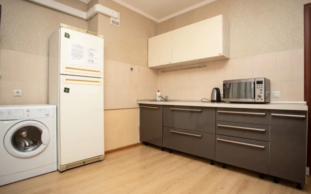 Риконе на улице Николая Ростовцева