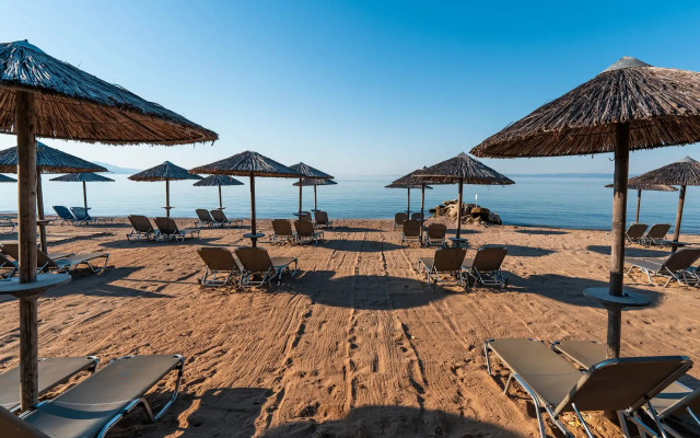 Blue Dolphin Hotel