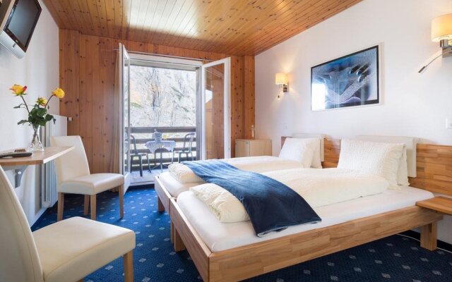 Hotel Alpina
