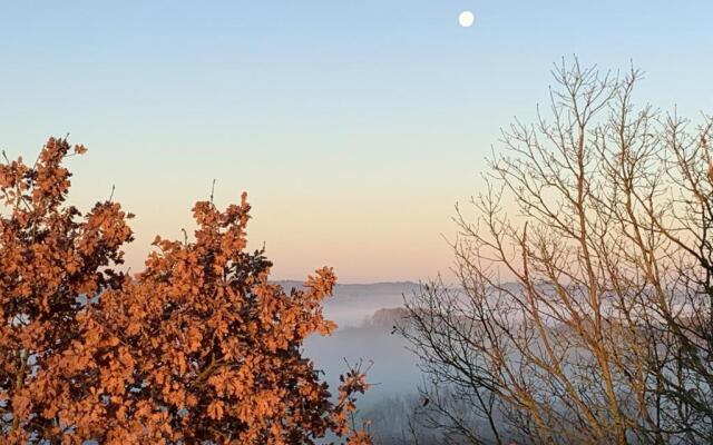 Domaine de Quintalone