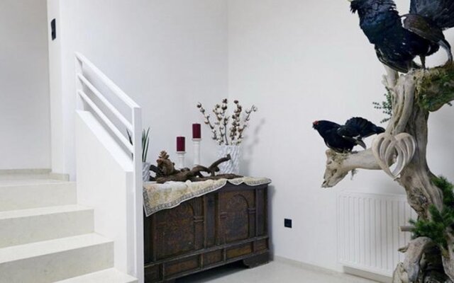 Thurnbach - Top Level Apartments