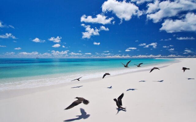 Bird Island Lodge Seychelles