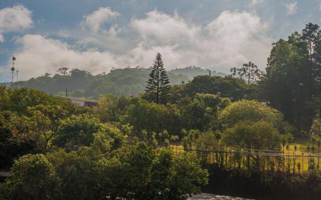 Cabinas Eddy B&B