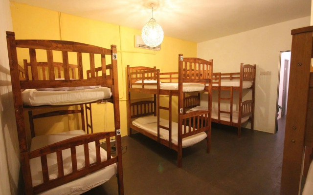 Cocoa Mews Cafe & Homestay - Hostel