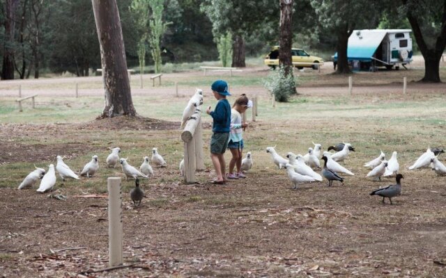 Eildon Pondage Holiday Park