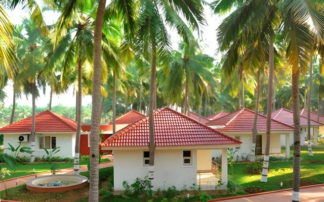 Ovm Resorts