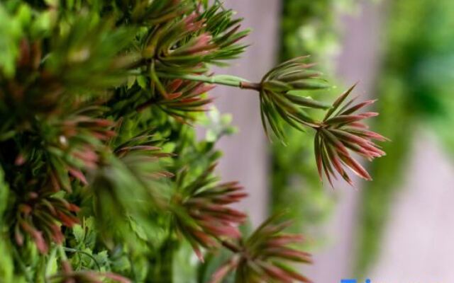 Wuji Moxi Linshui Homestay