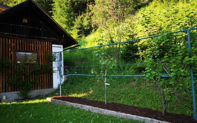 Ferienwohnung Haus Pirkebner