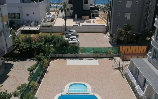 Citrus Luna Suite