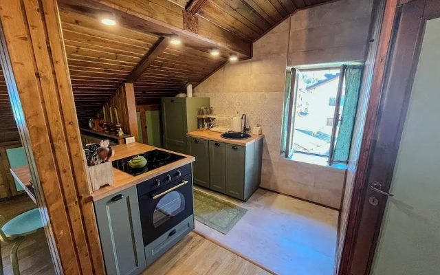 Renovated Mountain View Apartment