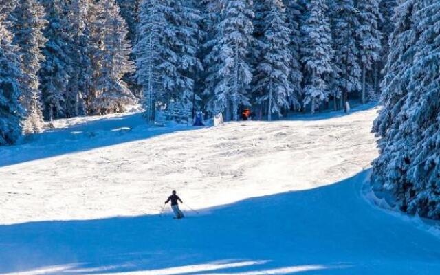 Tâmpa View Cosy flat 2