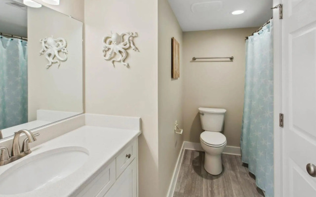 YC301 - Life's Porpoise