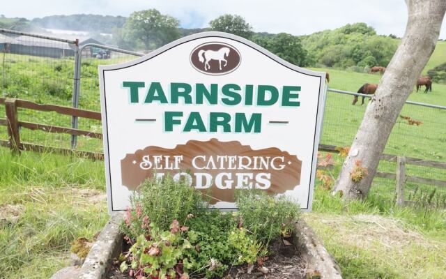 Tarnside 2