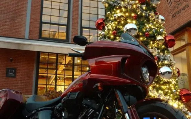 Busy koala Weeknd Hotel