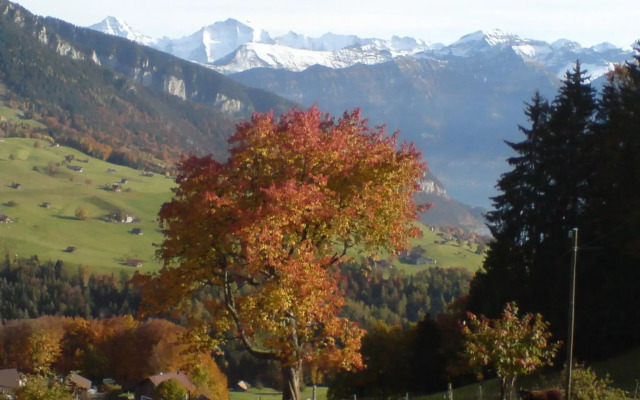 Hotel Rothorn