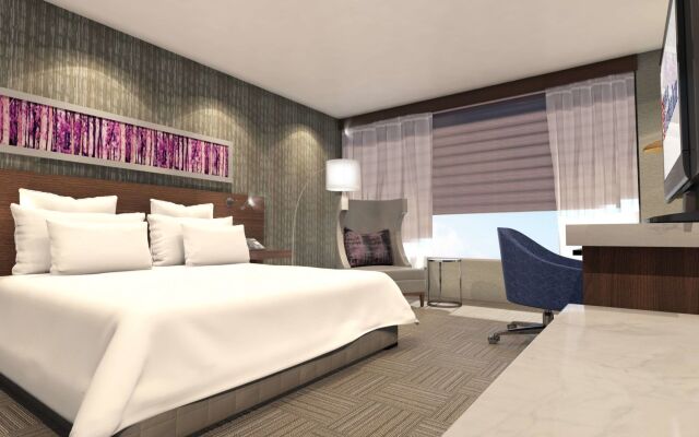 Hilton Garden Inn Ottawa Downtown