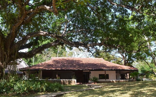 Diani house