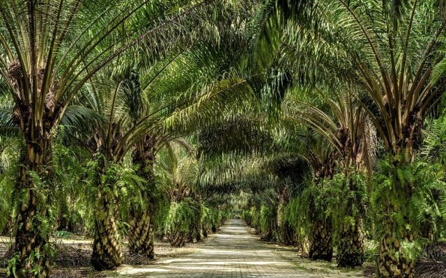 Mangala Estate Boutique Resort - Small Luxury Hotel of the World