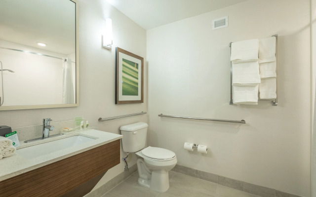 Holiday Inn Hotel & Suites Peachtree City by IHG