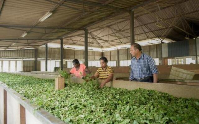 Binoya Tea Estate Bungalow