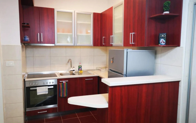 Splendid Two Bedroom Apartment Anastas Mitrev 25