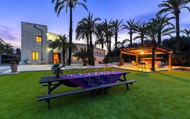 Historical Palms by Fidalsa