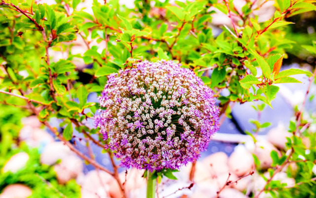 Relitto Boutique und Aparthotel Borkum