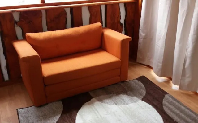 Lodge Palguin Alto